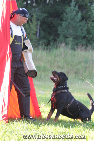 Summer training camp in Finland 2007